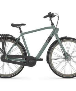 Vélo de ville Gazelle Esprit vert