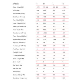 BMC VTT Carbone 29&Prime; – FOURSTROKE LT TWO – 2024 – sparkling dark petrol / sand