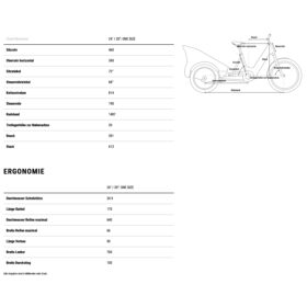 CUBE Vélo Cargo Électrique – TRIKE CARGO HYBRID 1500 – 2025 – grey / reflex