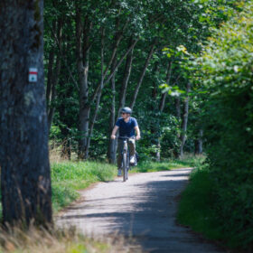 VTC électrique Moustache J. ALL Enviolo – 500 Wh