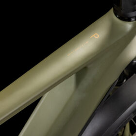 Cube Kathmandu Hybrid Pro 800 dustyolive´n´gold