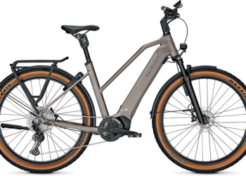 Cube Kathmandu Hybrid Pro 800 dustyolive´n´gold