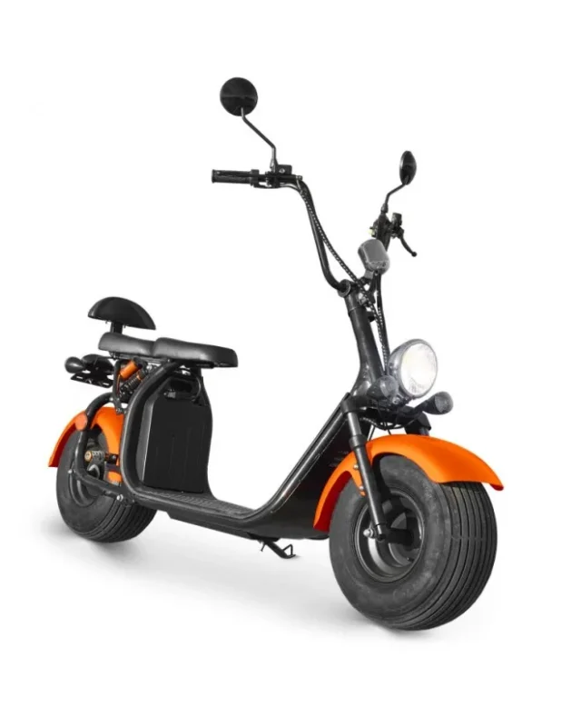 Scooter Trottinette Electrique Homologué 1500W CITYCOCO