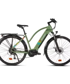 Vélo tout chemin électrique NEOMOUV RAIPON 2
